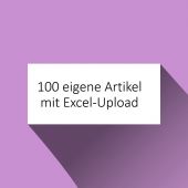 100 eigene Artikel inkl. Excel-Upload