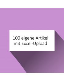 100 eigene Artikel inkl. Excel-Upload